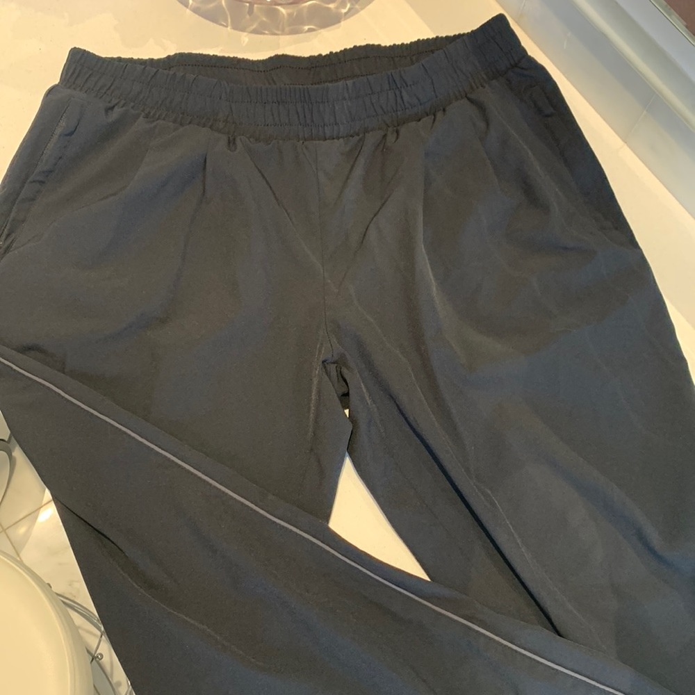 Fabletics pants